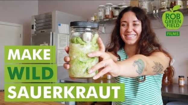 Video How To Make Sauerkraut with Wild Fermentation!   türkçe
