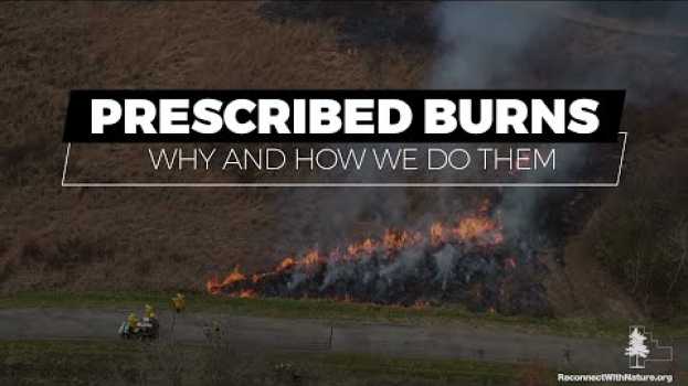 Video Prescribed Burns: Why and How We Do Them   türkçe