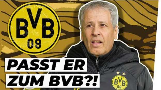 Video Lucien Favre: Fluch oder Segen für den BVB?!   türkçe