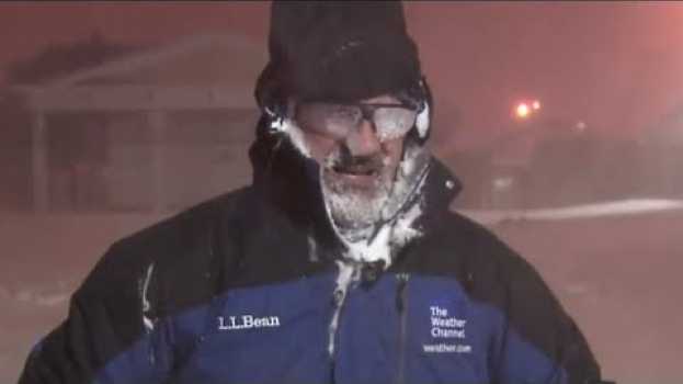 Video Weathermen Who Lost It On Live TV   türkçe
