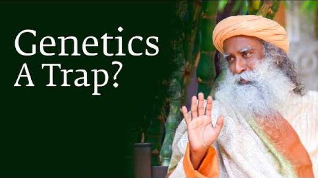 Video Sadhguru at Harvard: How Your Genetics Can Trap You su italiano