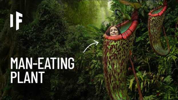 Video What If You Were Trapped in a Meat-Eating Plant? em português