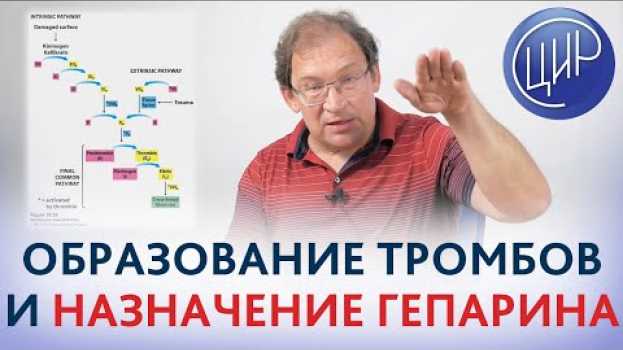 Video Образование тромба, гемостаз, гепарин и профилактика осложнений во время беременности. Гузов И.И. in English