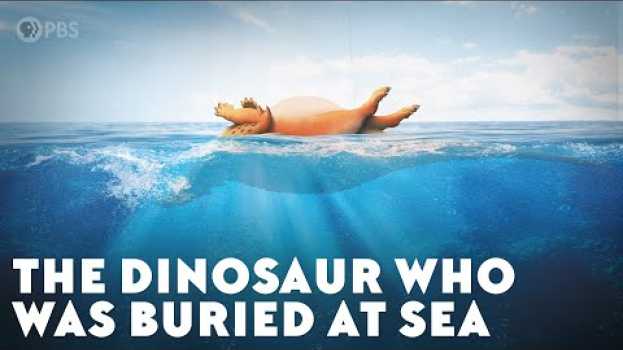 Video The Dinosaur Who Was Buried at Sea em português