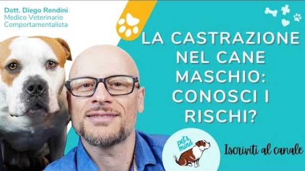 Video La castrazione nel cane maschio, conosci tutti i rischi che si corrono? in English