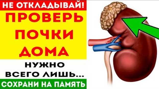Video Чтобы проверить почки самому (в домашних условиях), нужно просто... Про здоровье em português