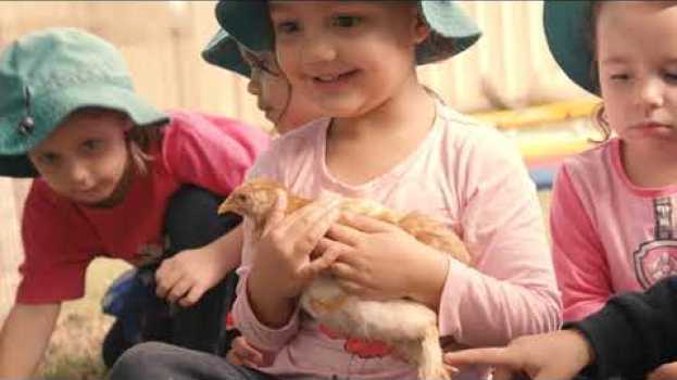 Video Let’s yarn about kindy in Toowoomba su italiano