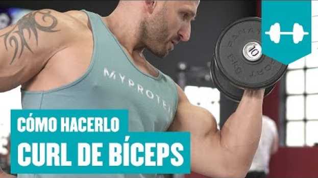 Video ¿Cómo hacer Curl de Bíceps? Con Barras o Mancuernas   türkçe