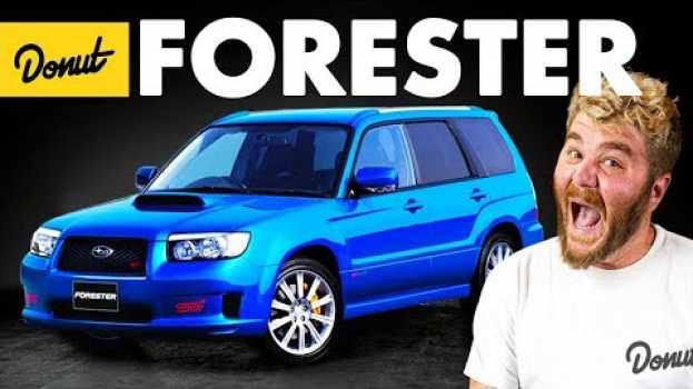 Video SUBARU FORESTER - Everything You Need to Know | Up to Speed   türkçe