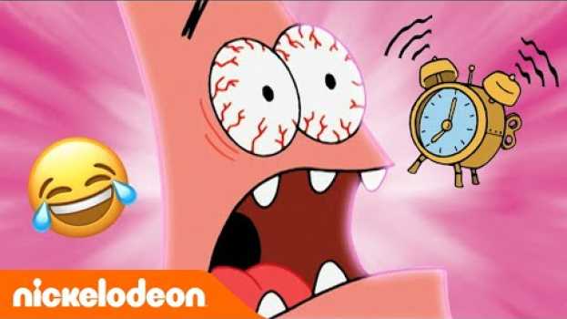 Video Lo show di Patrick Stella | Episodio 1 | Nickelodeon Italia en español