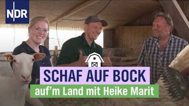 Video Premiere für Heike Marit: schon mal dem Schaf die Wolle geschoren? | Folge 10 | NDR auf‘m Land po polsku