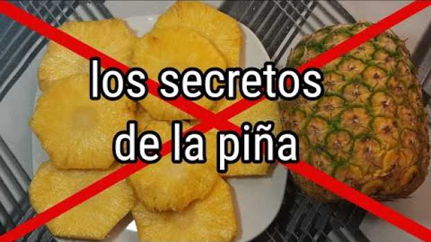 Video 10 cosas Que no sabias de las =(piña)   türkçe