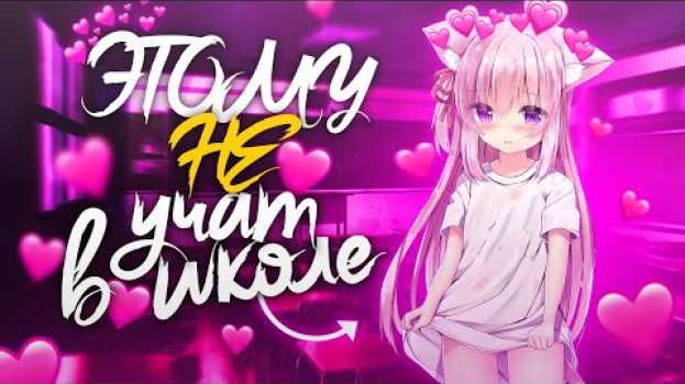 Video NICON – Этому не учат в школе po polsku