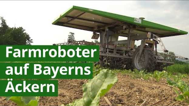 Video Digital Farming in Bayern - können Farmroboter die Landwirte sinnvoll unterstützen?  | Unser Land po polsku