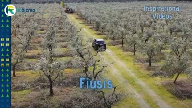 Video Clean energy that grows on trees - sustainable business inspiration en español
