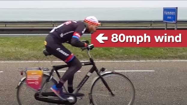 Video The Dutch headwind cycling championships are amazing auf Deutsch