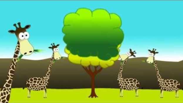 Video Charles Darwin - The Theory Of Natural Selection en français