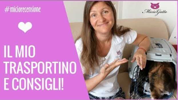 Video ❤ Il mio trasportino per gatti ed i consigli! ❤   türkçe