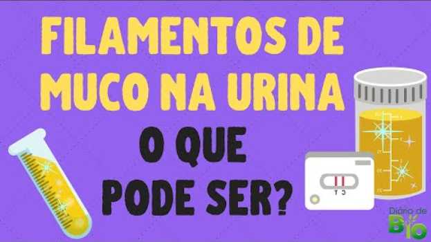 Video FILAMENTOS DE MUCO NA URINA: o que pode ser? en français