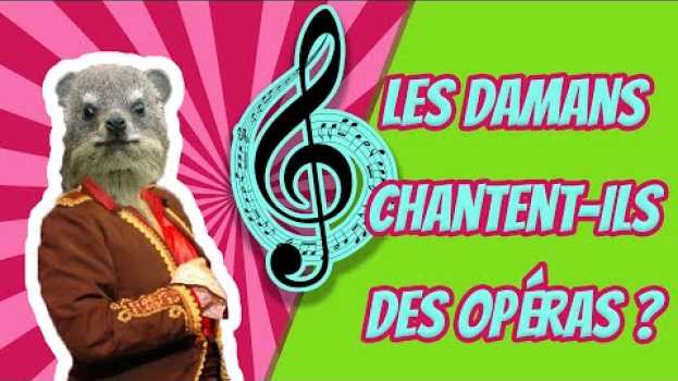 Video Les damans chantent-ils des opéras ? Cuicui Express #2 po polsku