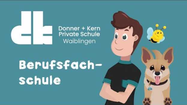 Video Hauptschule geschafft - und was jetzt? || Donner + Kern Private Schule in English