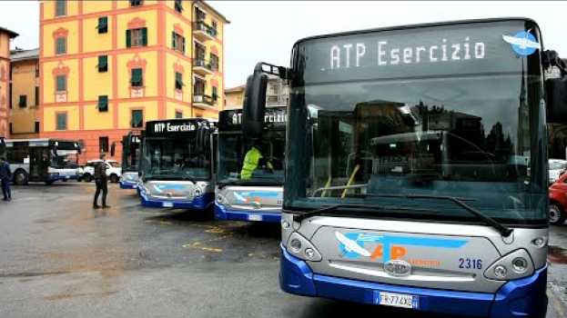 Video Il rilancio del Tigullio sale sul bus: ATP Esercizio presenta 6 nuovi mezzi en español