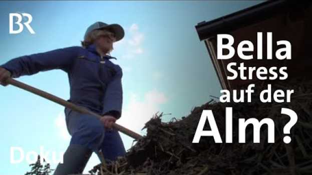 Видео Der Blick wird weit | Bella auf der Alm 3/4 | Doku | BR | Berge | Doku | Landwirtschaft | Jobtausch на русском