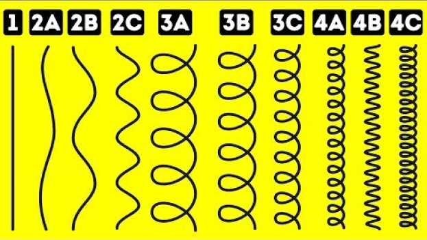 Video Find Out Your True Hair Type with This Simple Test en français
