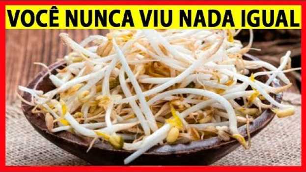 Видео Isso Você Não Sabia Veja o Que Esse Incrível Grão Pode Fazer Com Você!! на русском