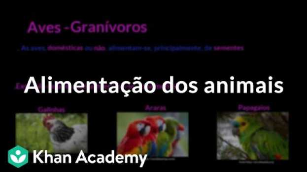 Video Alimentação dos animais in English