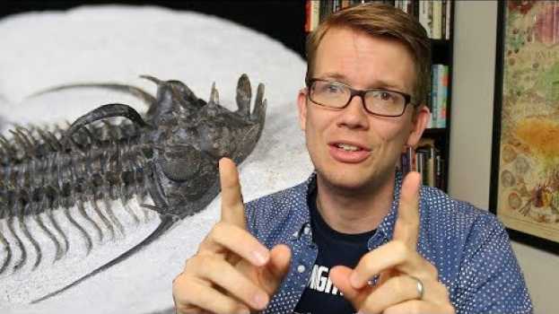 Video Eyes Made of Crystal? - Trilobites are Bizarre   türkçe