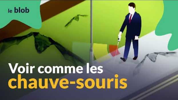 Video Voir comme les chauves-souris | Nature = Futur ! in English