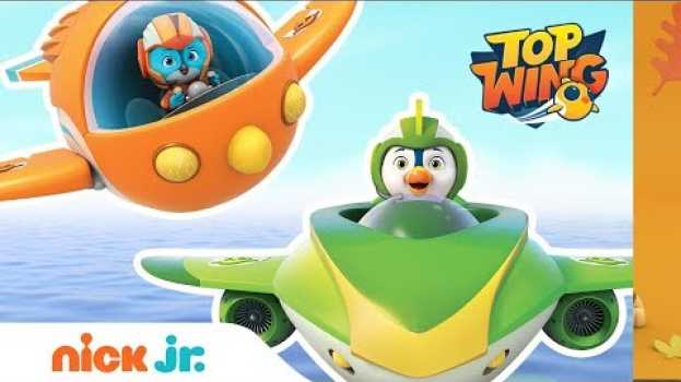 Video Who Will Win the Top Wing Relay Race? Swift, Penny, Brody, & Rod vs. Baddy | Top Wing | Nick Jr. en français