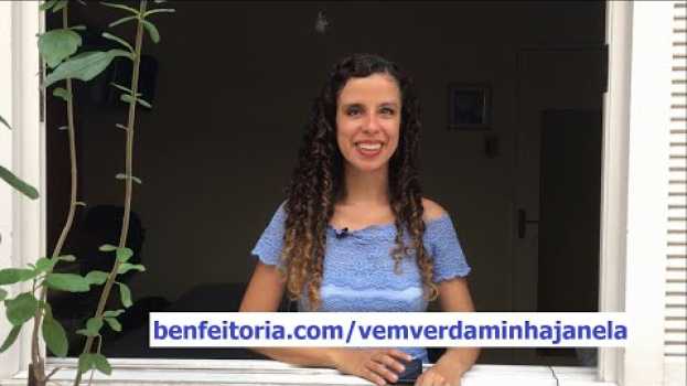 Video Vem ver da minha janela - livro de Sara Bentes auf Deutsch