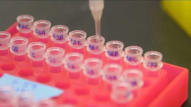 Video Why are some genes selfish? auf Deutsch