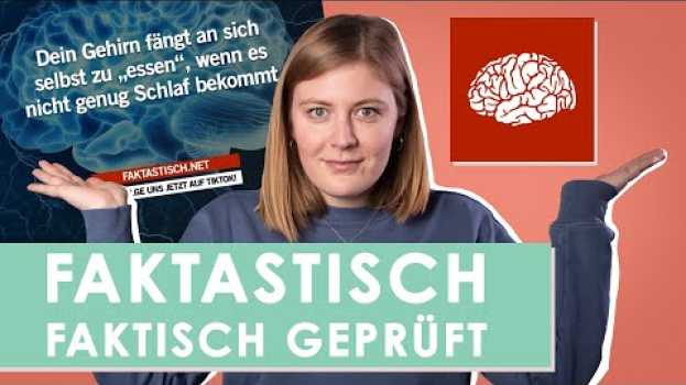 Video "Unser Gehirn isst sich selbst bei zu wenig Schlaf" | psychologeek in English