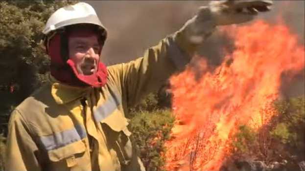 Video Ils allument un deuxième feu pour détourner l'incendie auf Deutsch