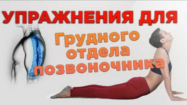 Video 8 эффективных упражнений ЛФК для грудного отдела позвоночника. Лечебная физкультура дома in English