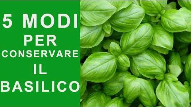 Video BASILICO: 5 MODI PER CONSERVARE IL BASILICO e averlo SEMPRE VERDE E FRESCO | FoodVlogger en español