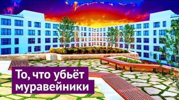 Video Новосибирск: могут, когда захотят in English