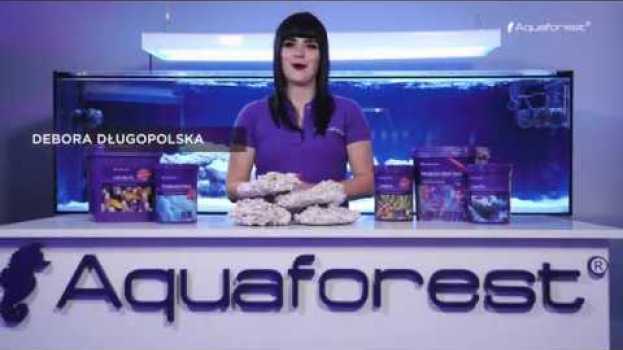 Video How to set up a marine aquarium with Aquaforest - EPISODE #3 auf Deutsch