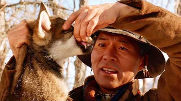 Video White Fang, a semi-wild dog, is about the bonds and emotions between humans and animals.   türkçe