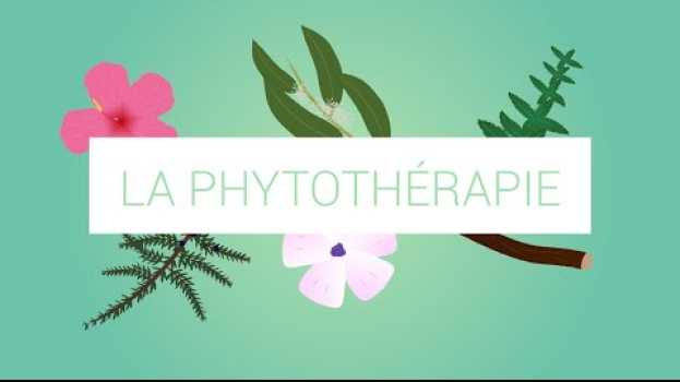 Video Qu'est-ce que la phytothérapie ? en español