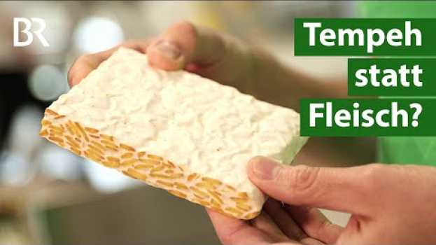 Video Fleischersatz: Tempeh aus bayerischem Soja oder Lupinen - nicht nur für Veganer | Unser Land | BR su italiano