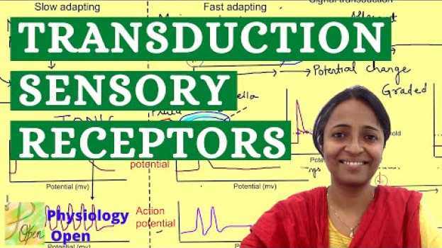 Video Sensory transduction | Sensory Physiology mbbs 1st year lectures | CNS Physiology em português