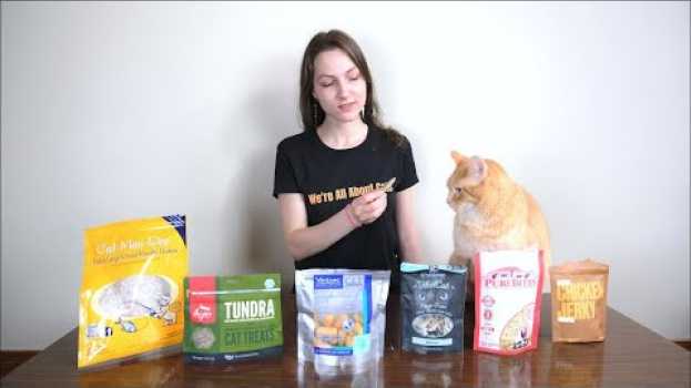 Video Top 6 Best Cat Treats (We Tested Them All) em português