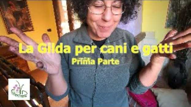 Video Cani e gatti: una gilda con le piante più adatte per loro auf Deutsch