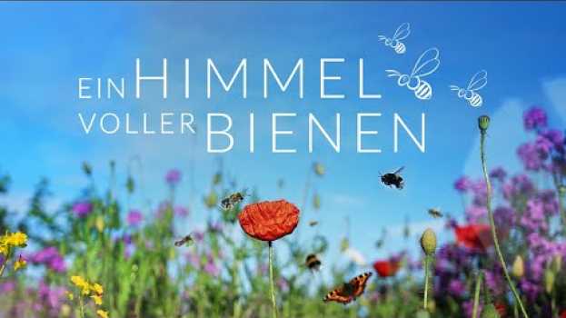 Video Trailer EIN HIMMEL VOLLER BIENEN (Dokumentarfilm) em português