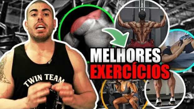 Video Os melhores exercícios para cada grupo muscular 👌 po polsku