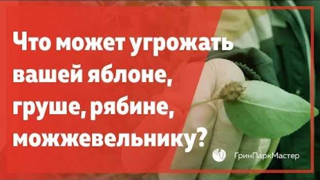 Video Что может угрожать вашей груше, можжевельнику, яблоне или рябине? en français